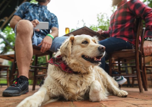 Exploring Pet-Friendly Seafood Restaurants in Downtown San Antonio